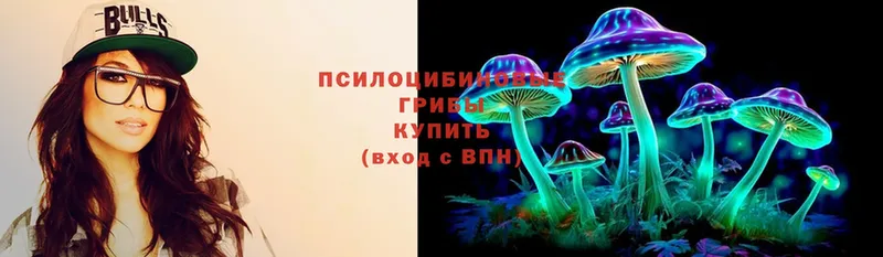 Псилоцибиновые грибы MAGIC MUSHROOMS  Болохово 